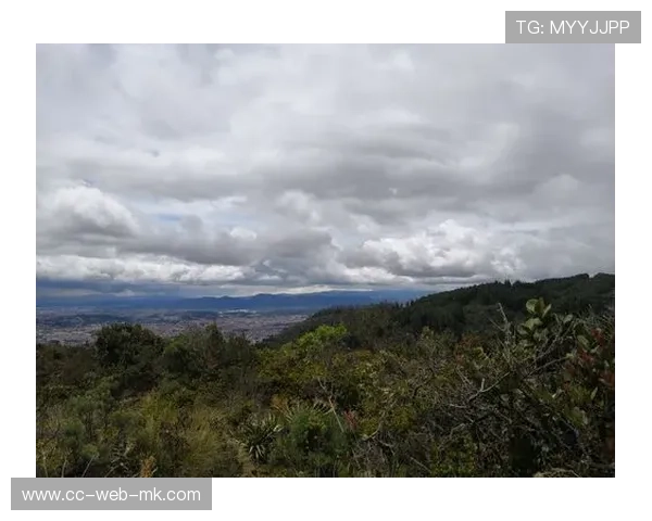 哥伦比亚俱乐部决定向欧洲派出更多试训人选，开启国际化发展新篇章